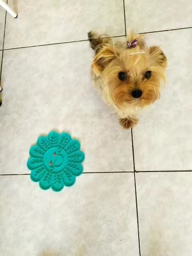 Silicone Lick Mat and Slow Feeder