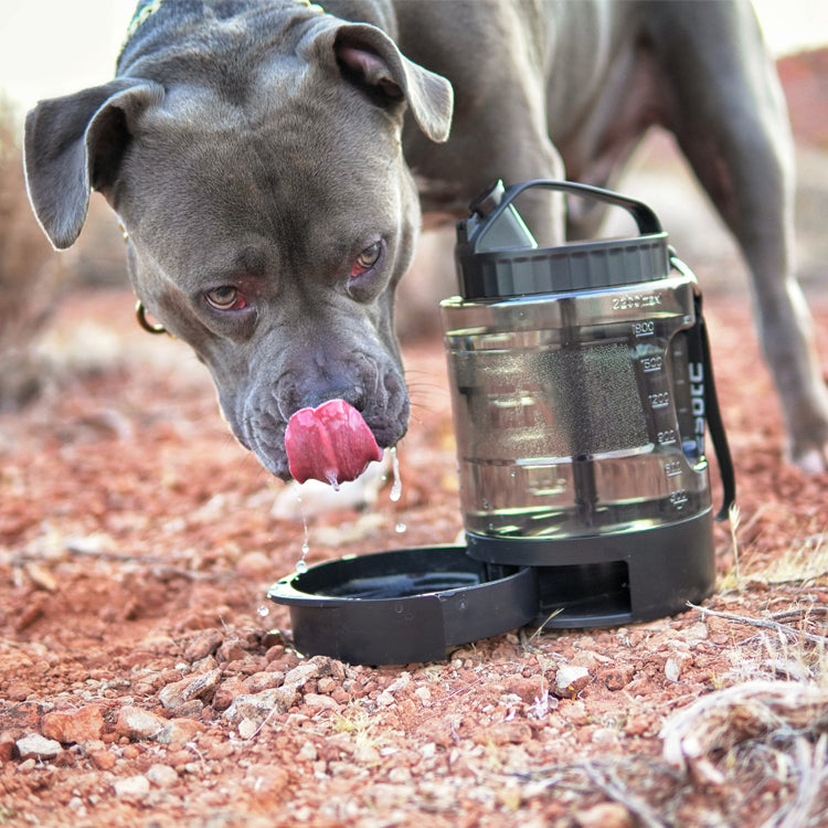 LESOTC Travel Dog Water Dispenser