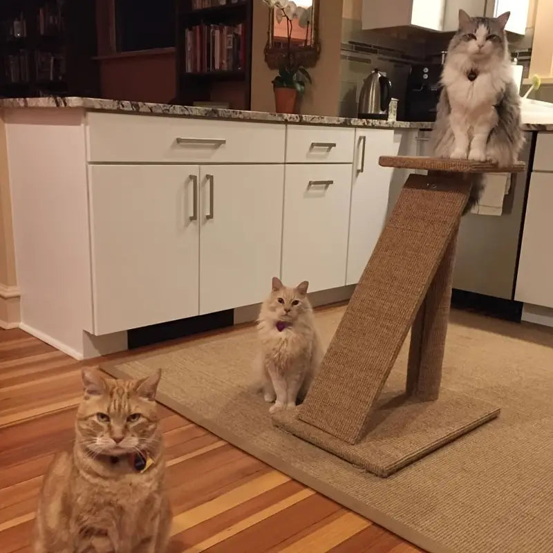 Natural Sisal Cat Scratcher Mat