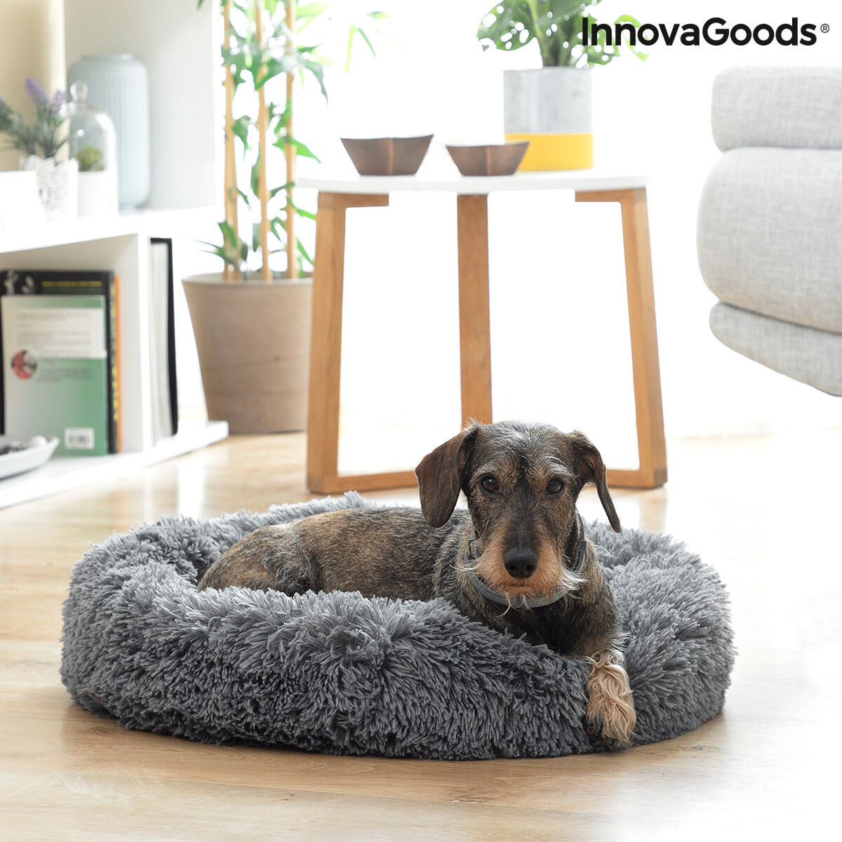 Dog lying inside a grey round pet bed beside a sofa.
