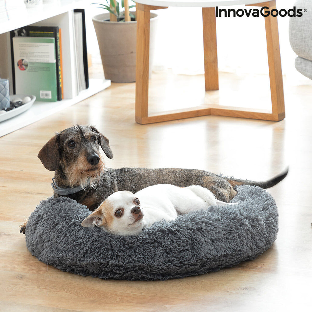 Two small dogs sharing a grey round pet bed indoors.