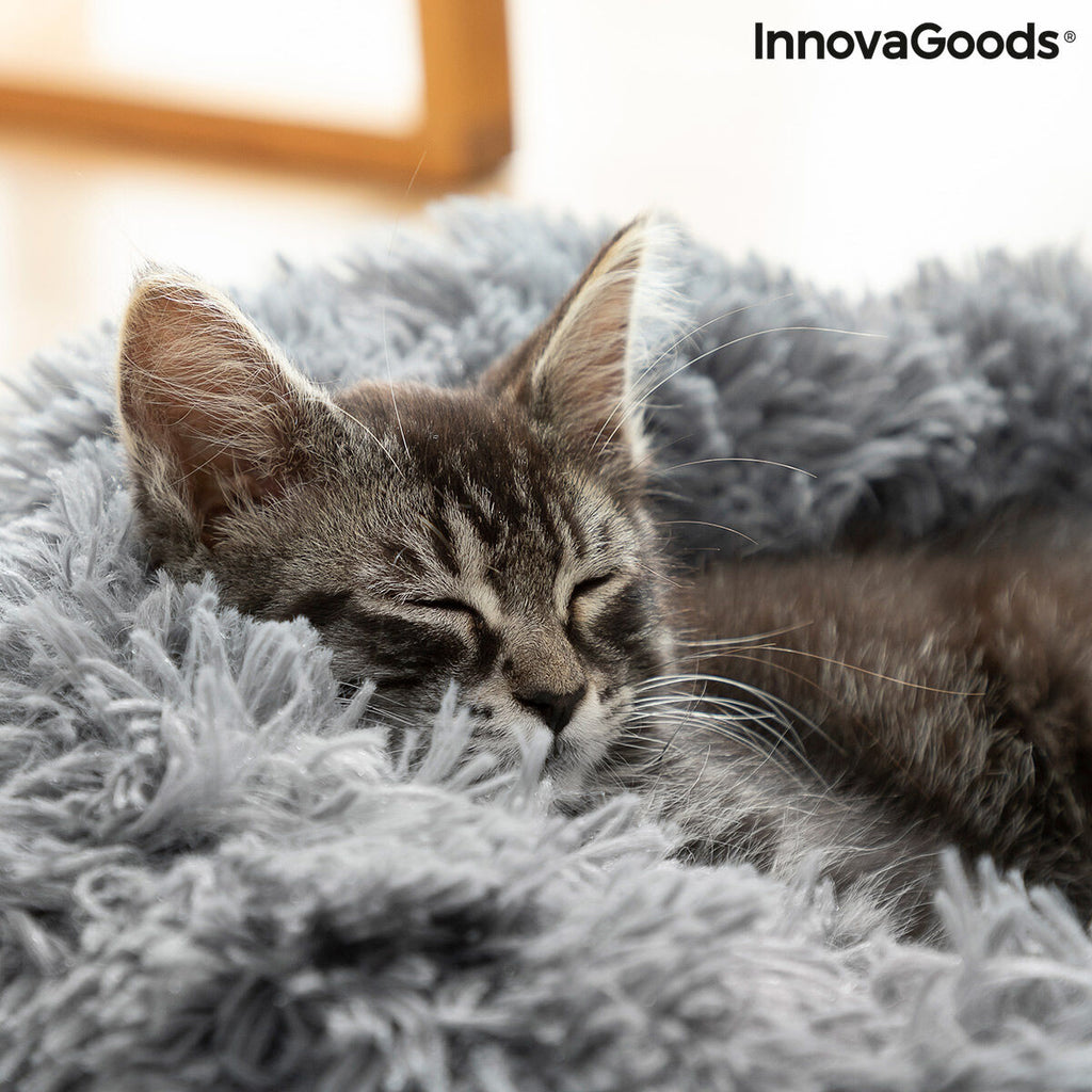 Close-up of a cat resting against the grey plush pet bed.
