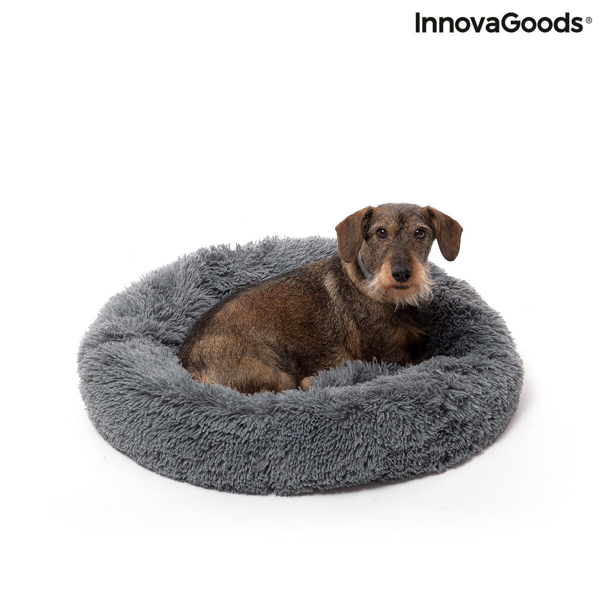 Dog sitting in a grey round pet bed on a white background.
