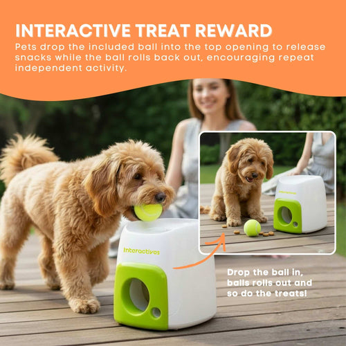 AFP Ball Drop Treat Dispenser