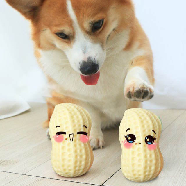 Dog beside two peanut-shaped toys with illustrated faces.