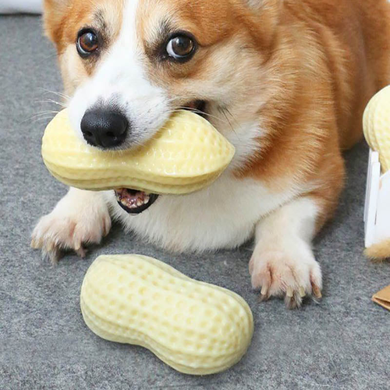 Dog holding one peanut-shaped toy with another toy resting nearby.