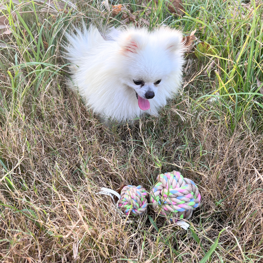 Hemp Rope Dog Ball