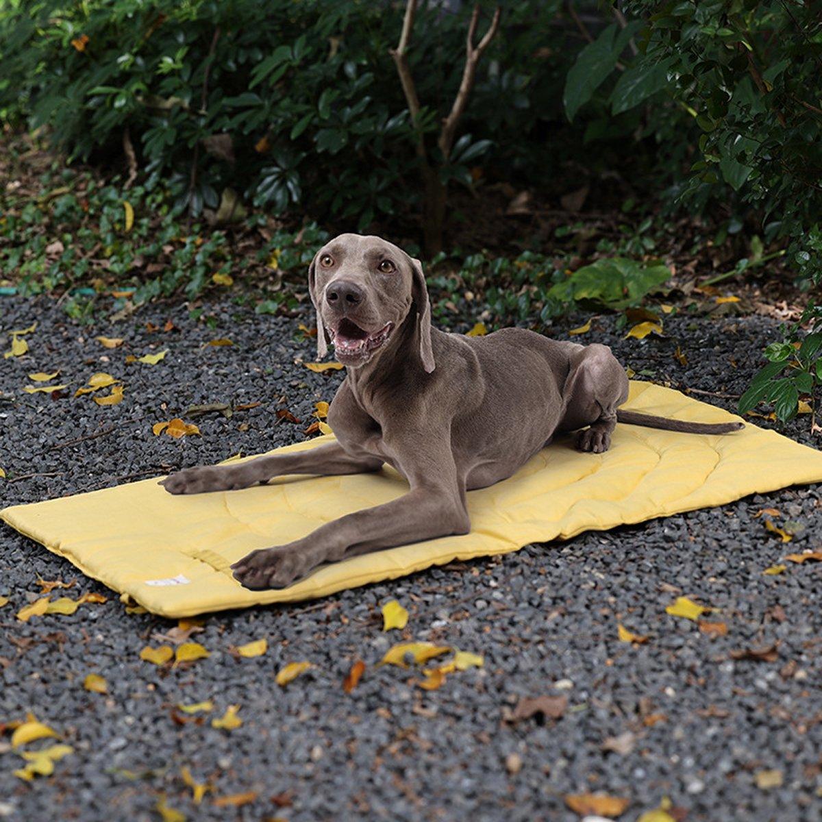 Foldable Pet Rest Mat – 95 × 65 cm